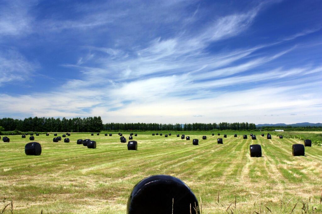 士幌町｜ほっかいどう地域おこし協力隊【北海道】